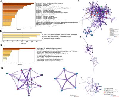 Exploring the Differences in Molecular Mechanisms and Key Biomarkers Between Membranous Nephropathy and Lupus Nephritis Using Integrated Bioinformatics Analysis